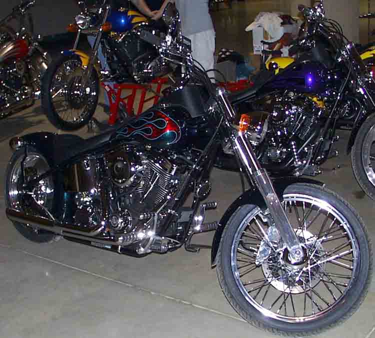 Big Dog Harley Custom