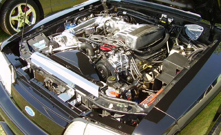93 Ford Mustang w/FI SBF V8