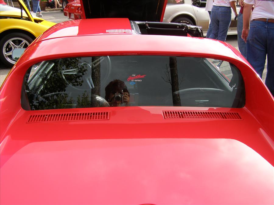 76 Corvette Coupe Detail